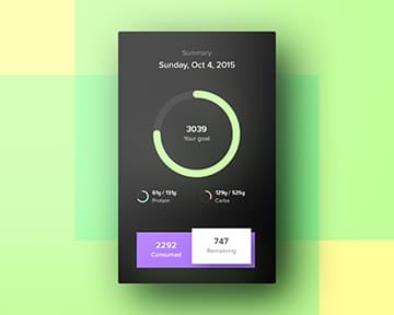 portfolio